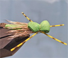 Simple Hopper