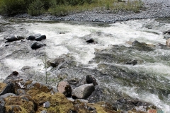 116_rapids