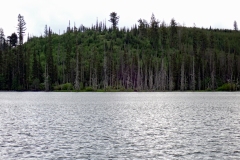 Community-Lake-Island