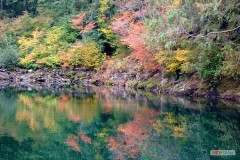 018a_skagit_fall