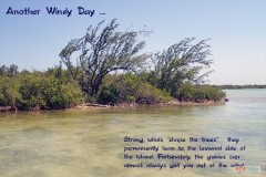 122_windy_day