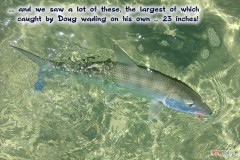 151_largest_fish